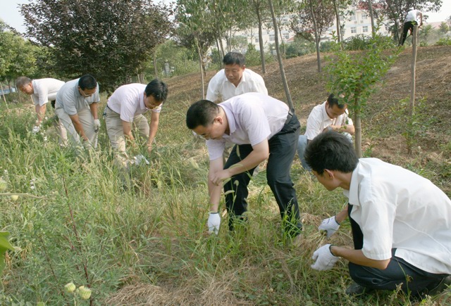 集團公司黨員義務(wù)勞動迎七一