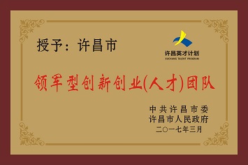 領軍型創(chuàng)新創(chuàng)業(yè)（人才）團隊
